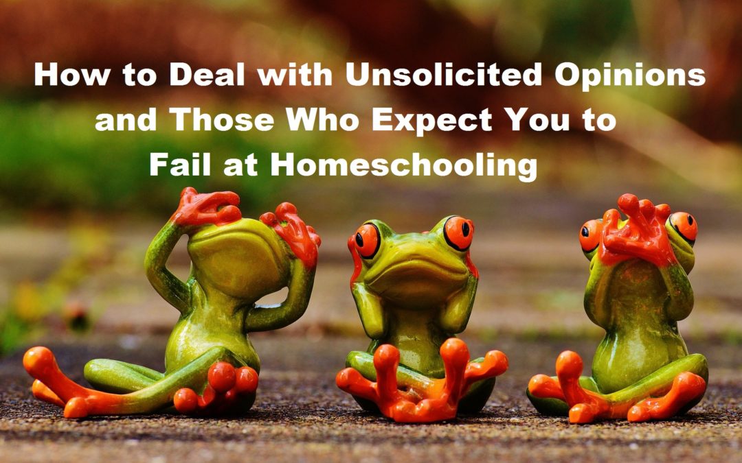 the effects of homeschooling