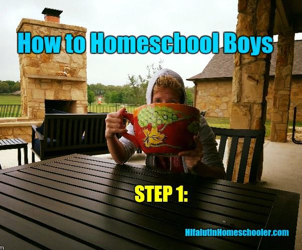 how to homeschool boys