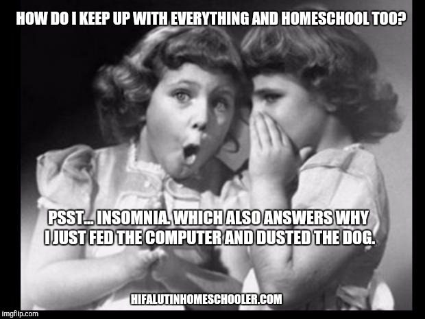 homeschool insomnia meme