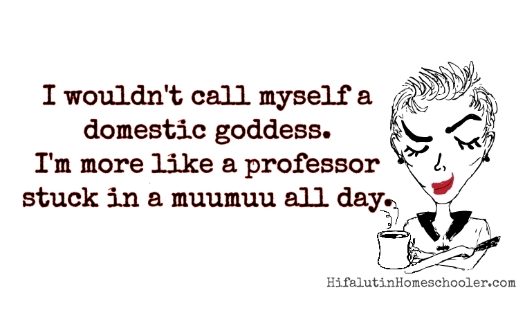 homeschool domestic goddess muumuu