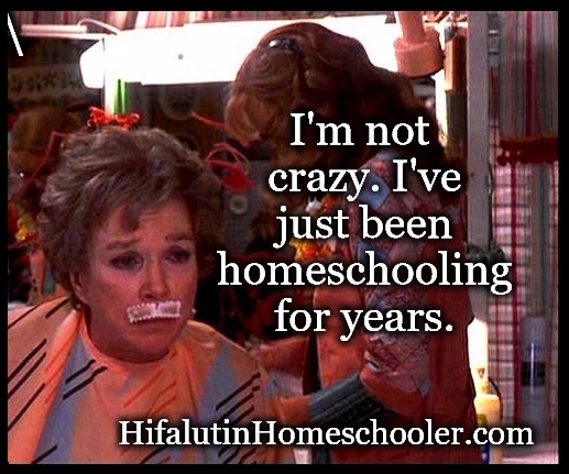 I'm not crazy. I've just been homeschooling for years. Funny meme