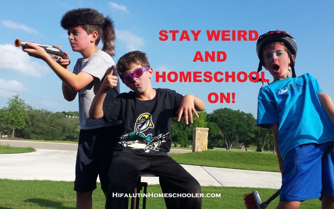 Homeschool: The Not so Expected First Year Expectations