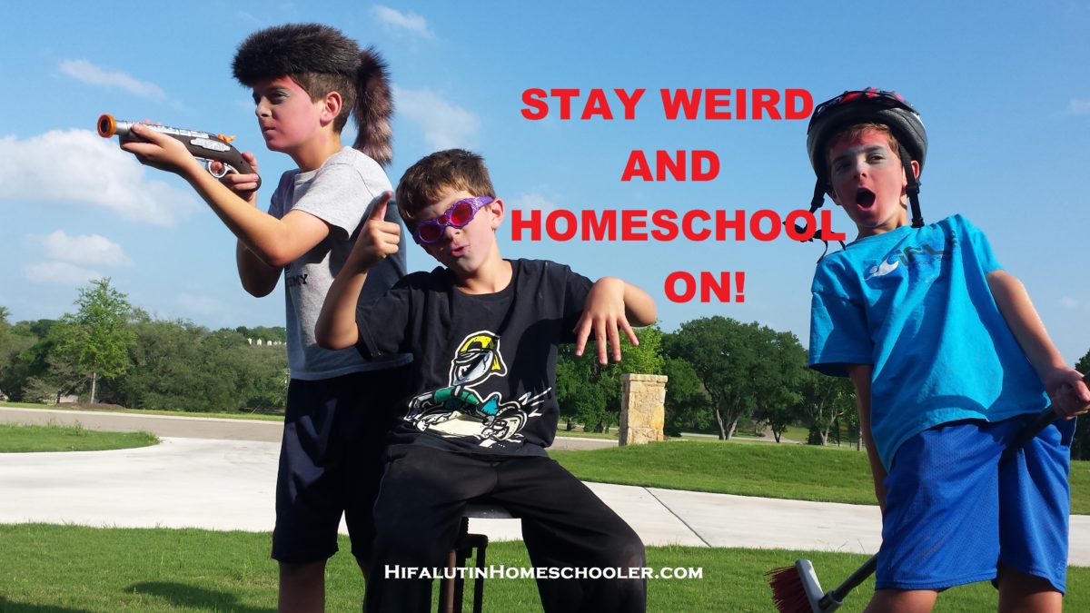 Homeschool The Not So Expected First Year Expectations Hifalutin   Weird Homeschoolers Meme 