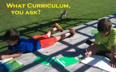 No, I Certainly Will NOT Tell You Which Curriculum is Best!