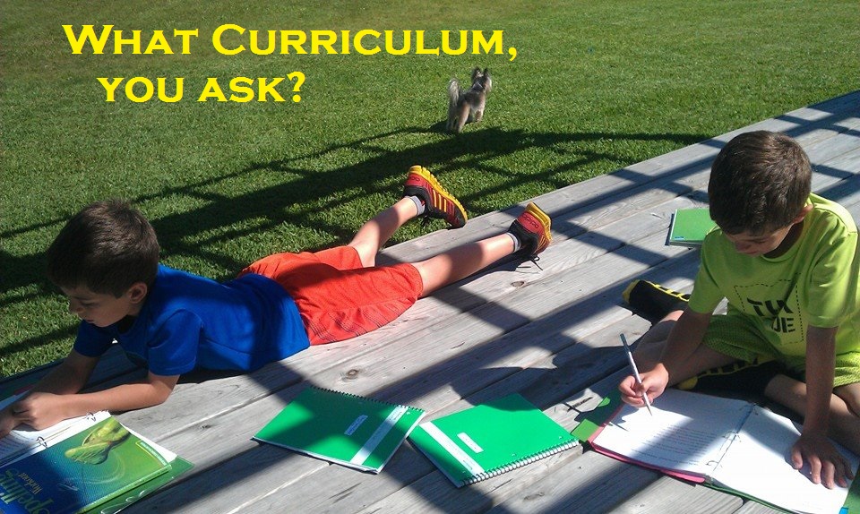 No, I Certainly Will NOT Tell You Which Curriculum is Best!