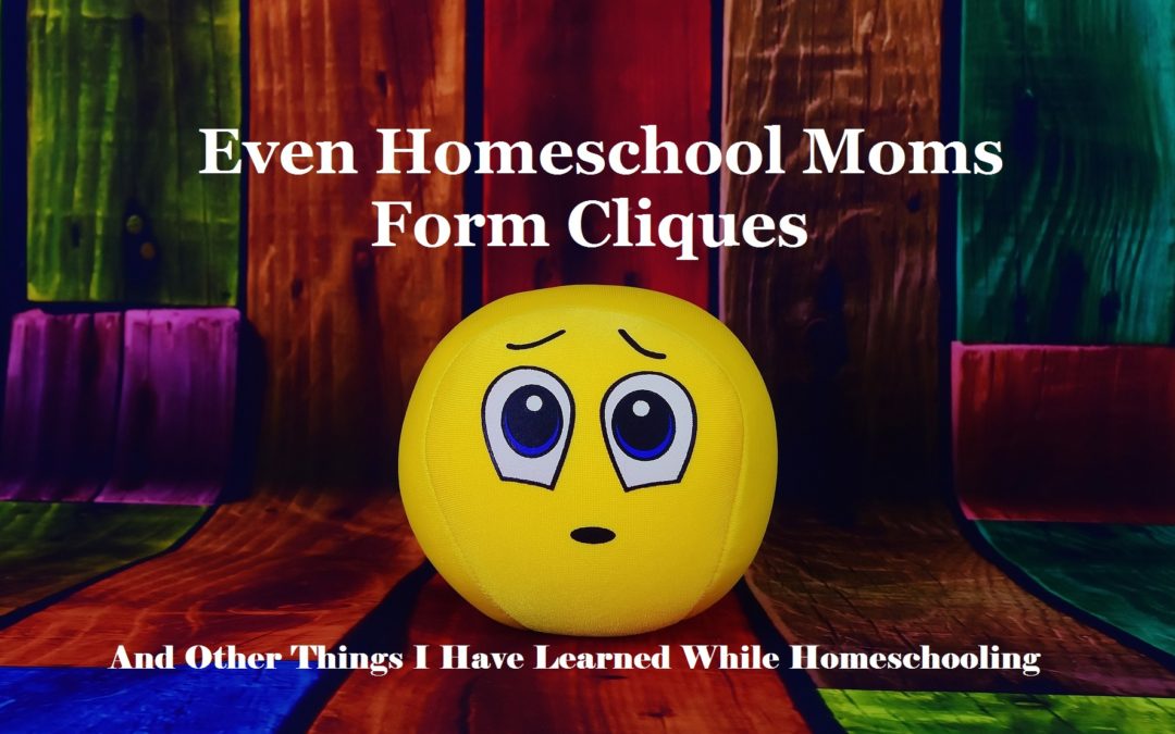 Even Homeschool Moms Form Cliques And Other Things I Have Learned While Homeschooling