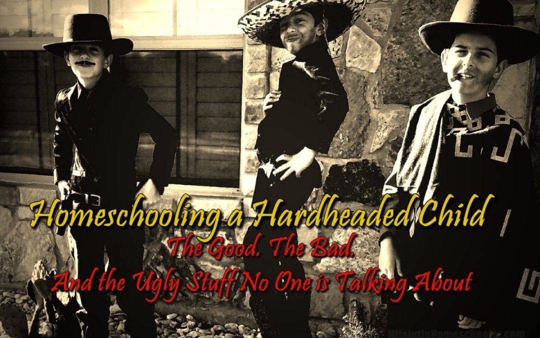 Homeschooling a Hardheaded Child The Good, The Bad, and the Ugly Stuff No One Talks About