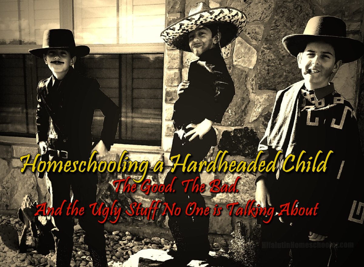 Homeschooling A Hardheaded Child Hifalutin Homeschooler