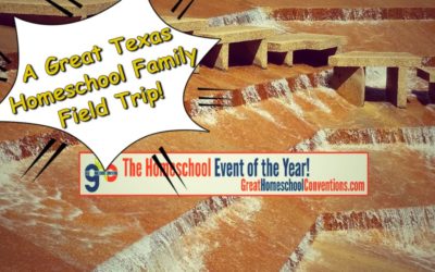 A Great Texas Homeschool Family Field Trip Texas Great Homeschool Convention 2018