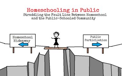 Homeschooling in Public Straddling the Fault Line Between Homeschool and the Public-Schooled Community