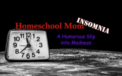 Homeschool Mom Insomnia A Humorous Slip into Madness