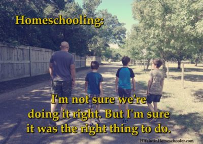 homeschooling meme right thing to do
