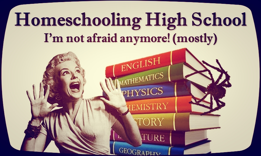 I'm not afraid homeschooling high school