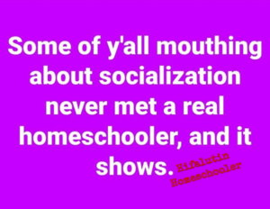 homeschool meme mouthing about socialization