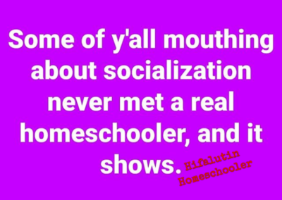 homeschool meme mouthing about socialization
