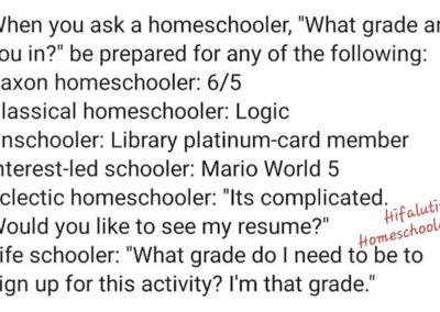 homeschool meme types of homeschoolers