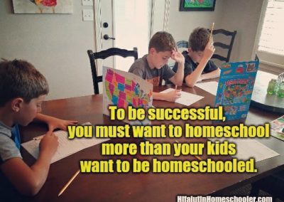 homeschool meme want to homeschool