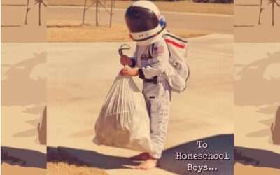 To Homeschool Boys