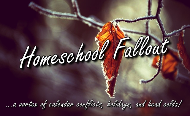 homeschool fallout blog post