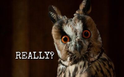 Homeschool Transcript Thieves & Other Saboteurs